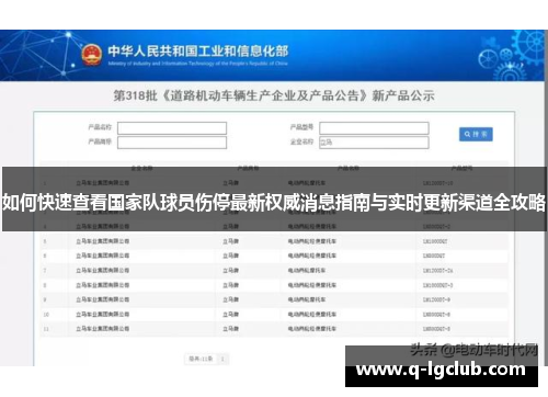 如何快速查看国家队球员伤停最新权威消息指南与实时更新渠道全攻略