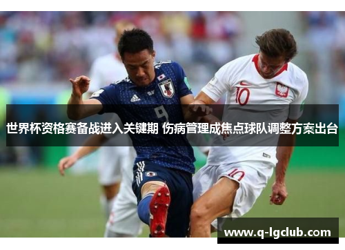 世界杯资格赛备战进入关键期 伤病管理成焦点球队调整方案出台