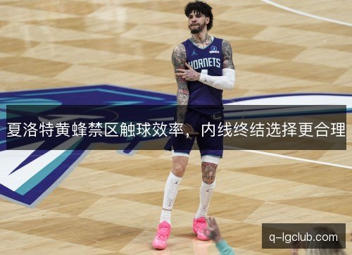 夏洛特黄蜂禁区触球效率，内线终结选择更合理